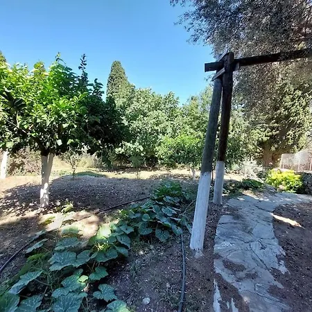 καμαρα - παραδοσιακό σπίτι σε αγρόκτημα με θέα 펜션